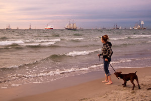 Hanse Sail Rostock Warnemünde Besucher mit Hund am Strand am Horizont eine Fähre und Segelschiffe
